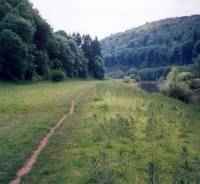 alongside the river Wye