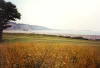 Porthkerry beach looking towards Cold Knap Point and Barry - click for larger image